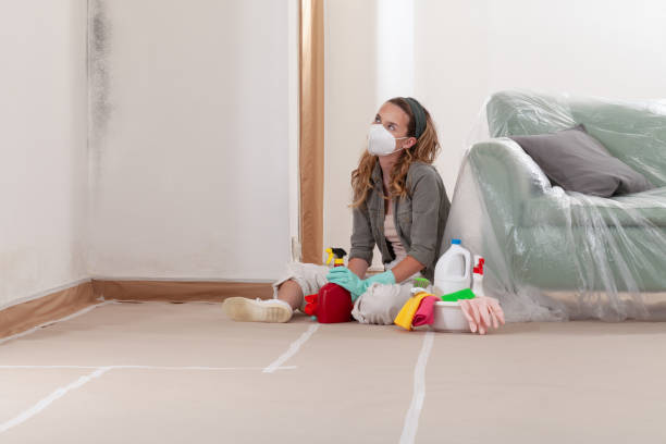 Reliable Mold Inspection And Testing contractor in Maryland, MD by Mold Remediation HQ
